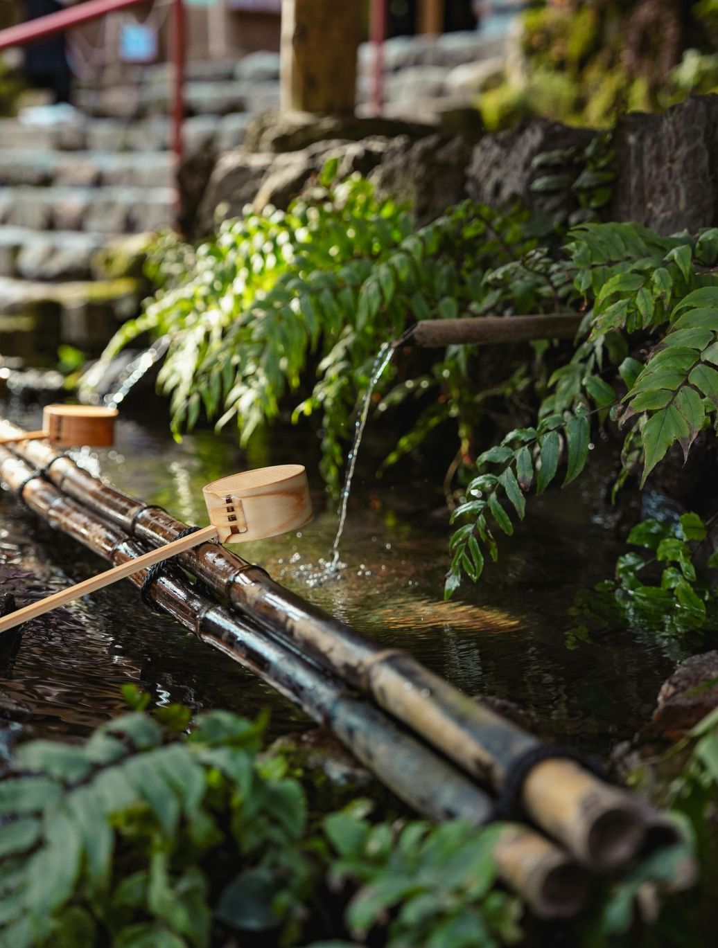 Sérénité & relaxation