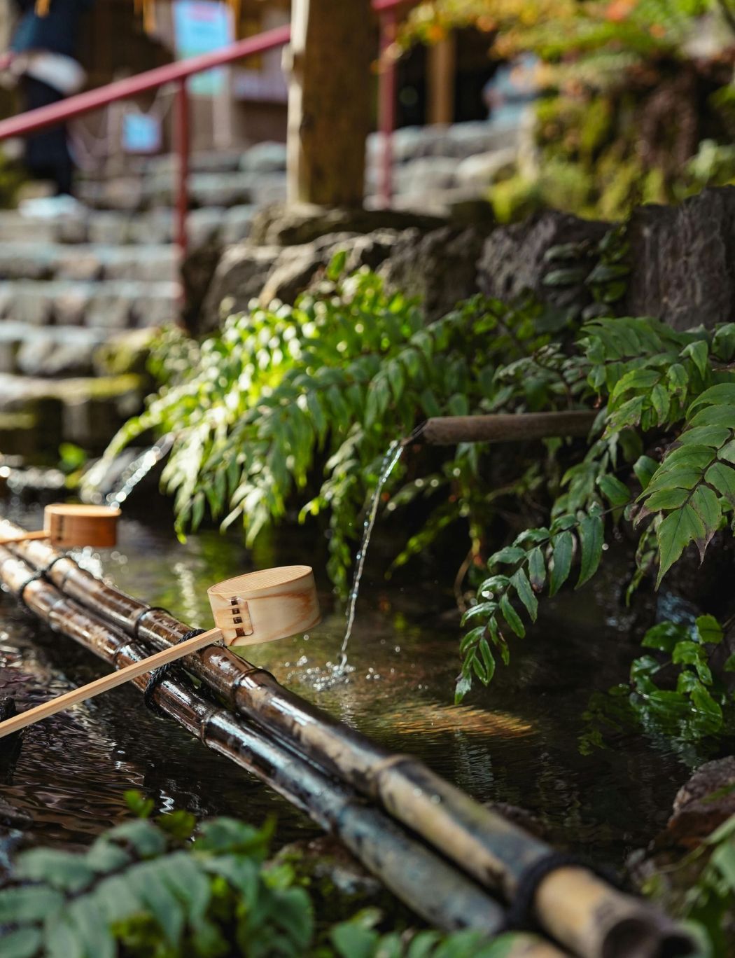 Sérénité & relaxation